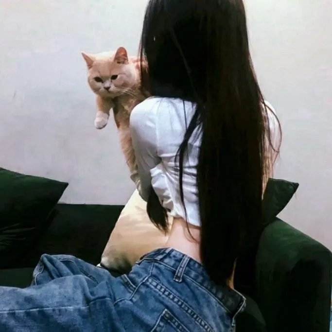 犹太狮子